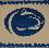 Grooms Cake Penn State Logo 002